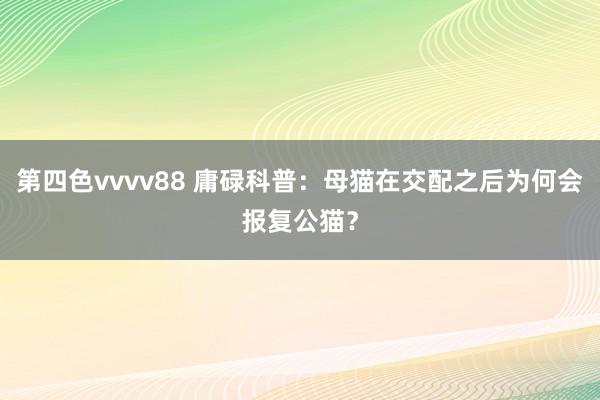 第四色vvvv88 庸碌科普：母猫在交配之后为何会报复公猫？