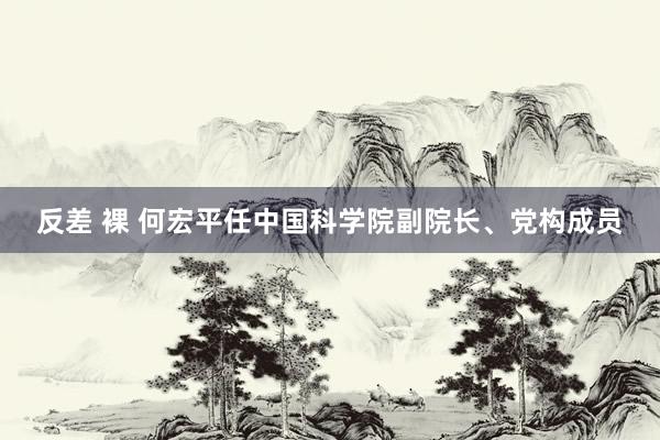 反差 裸 何宏平任中国科学院副院长、党构成员