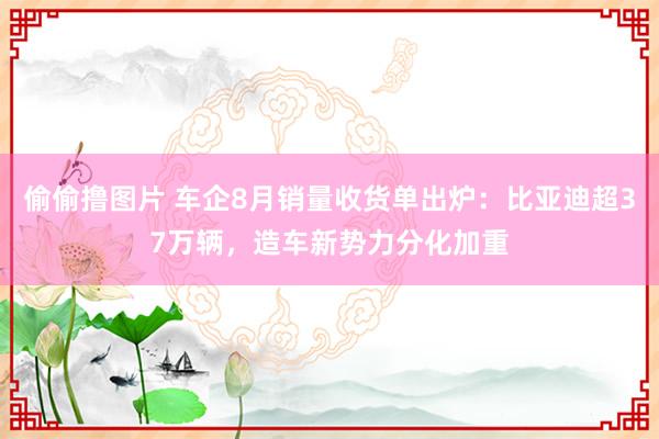 偷偷撸图片 车企8月销量收货单出炉：比亚迪超37万辆，造车新势力分化加重