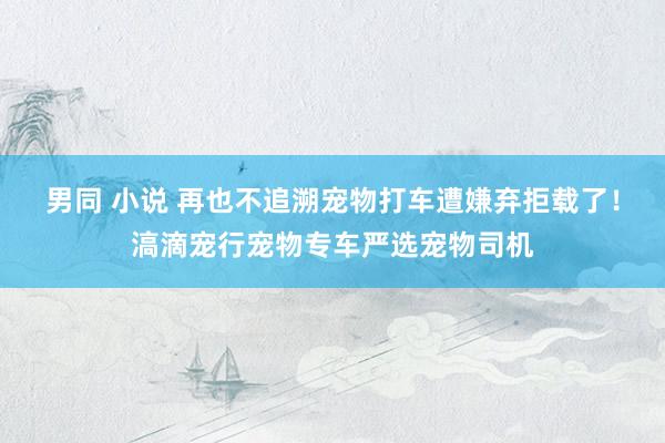 男同 小说 再也不追溯宠物打车遭嫌弃拒载了！滈滴宠行宠物专车严选宠物司机