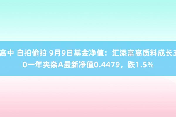 高中 自拍偷拍 9月9日基金净值：汇添富高质料成长30一年夹杂A最新净值0.4479，跌1.5%