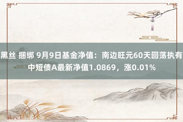 黑丝 捆绑 9月9日基金净值：南边旺元60天回荡执有中短债A最新净值1.0869，涨0.01%