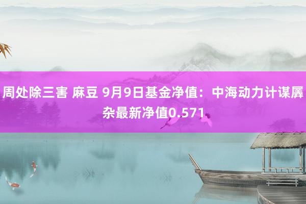 周处除三害 麻豆 9月9日基金净值：中海动力计谋羼杂最新净值0.571