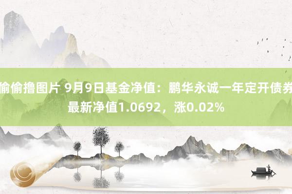 偷偷撸图片 9月9日基金净值：鹏华永诚一年定开债券最新净值1.0692，涨0.02%