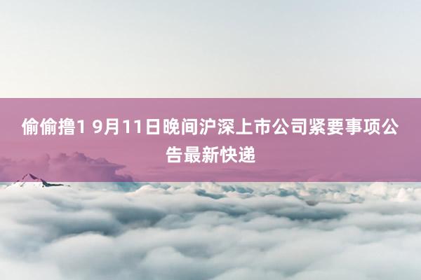 偷偷撸1 9月11日晚间沪深上市公司紧要事项公告最新快递