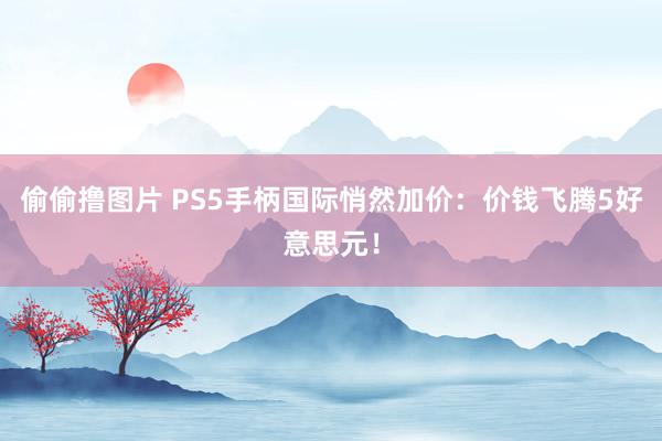 偷偷撸图片 PS5手柄国际悄然加价：价钱飞腾5好意思元！