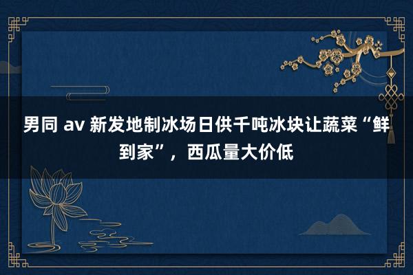 男同 av 新发地制冰场日供千吨冰块让蔬菜“鲜到家”，西瓜量大价低