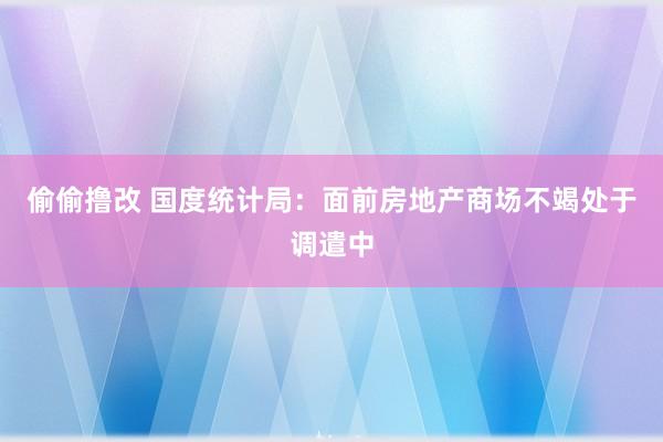 偷偷撸改 国度统计局：面前房地产商场不竭处于调遣中