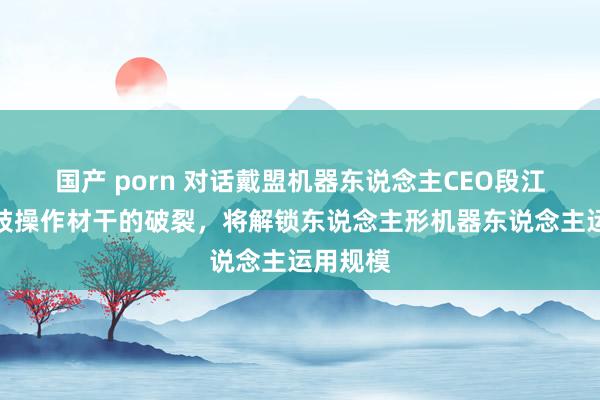 国产 porn 对话戴盟机器东说念主CEO段江哗：上肢操作材干的破裂，将解锁东说念主形机器东说念主运用规模