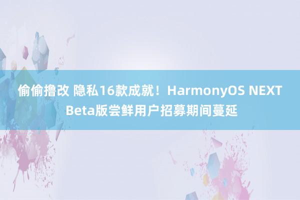 偷偷撸改 隐私16款成就！HarmonyOS NEXT Beta版尝鲜用户招募期间蔓延