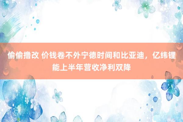 偷偷撸改 价钱卷不外宁德时间和比亚迪，亿纬锂能上半年营收净利双降