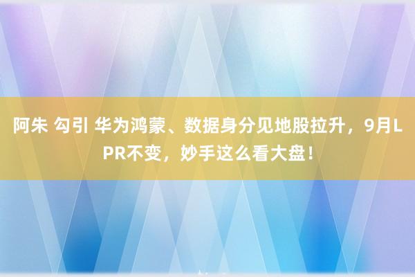 阿朱 勾引 华为鸿蒙、数据身分见地股拉升，9月LPR不变，妙手这么看大盘！