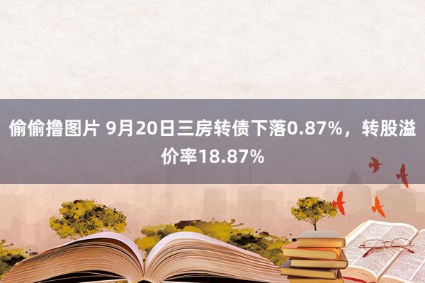 偷偷撸图片 9月20日三房转债下落0.87%，转股溢价率18.87%