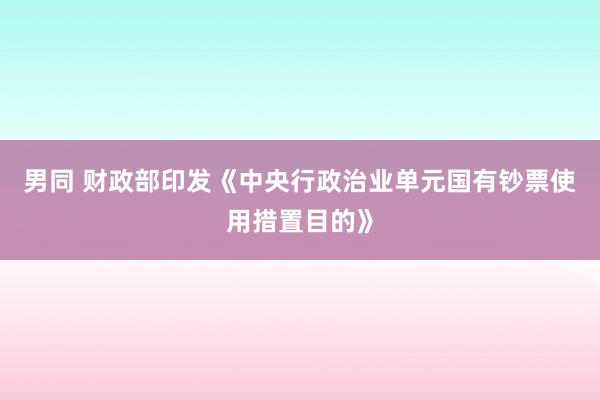 男同 财政部印发《中央行政治业单元国有钞票使用措置目的》