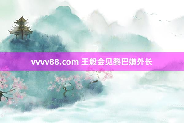 vvvv88.com 王毅会见黎巴嫩外长