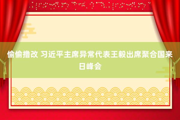 偷偷撸改 习近平主席异常代表王毅出席聚合国来日峰会