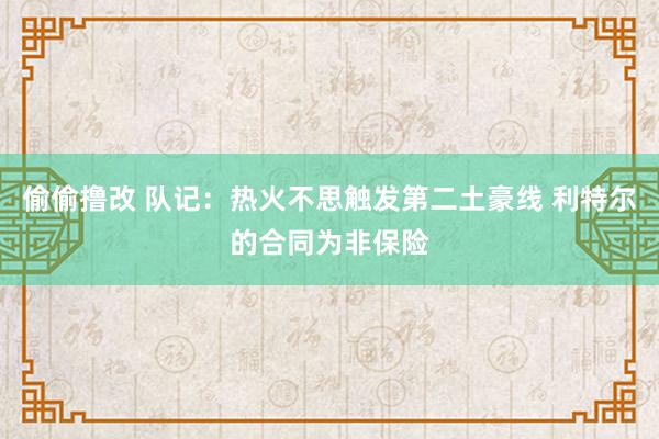 偷偷撸改 队记：热火不思触发第二土豪线 利特尔的合同为非保险