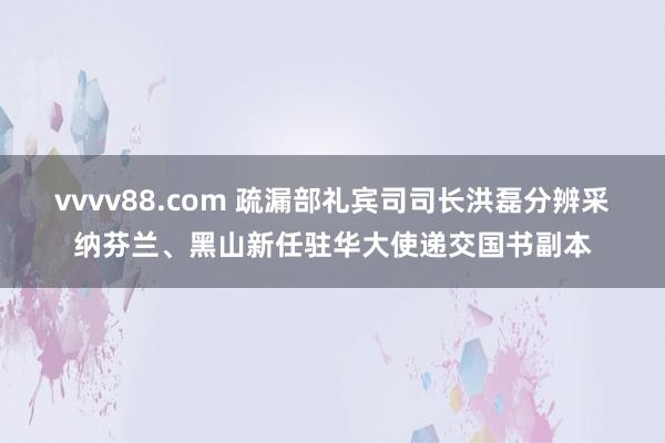 vvvv88.com 疏漏部礼宾司司长洪磊分辨采纳芬兰、黑山新任驻华大使递交国书副本