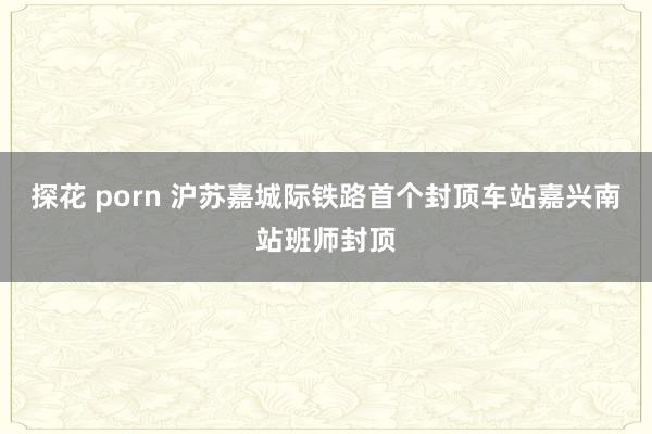 探花 porn 沪苏嘉城际铁路首个封顶车站嘉兴南站班师封顶