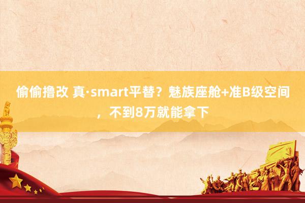 偷偷撸改 真·smart平替？魅族座舱+准B级空间，不到8万就能拿下