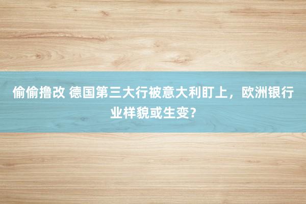 偷偷撸改 德国第三大行被意大利盯上，欧洲银行业样貌或生变？