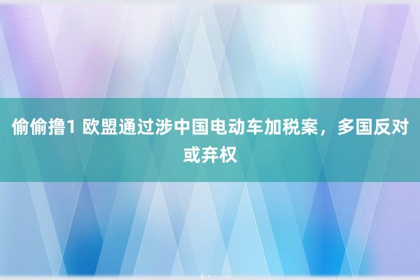 偷偷撸1 欧盟通过涉中国电动车加税案，多国反对或弃权