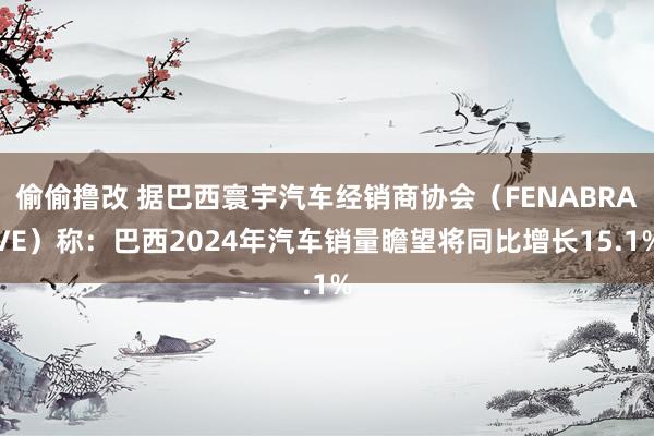 偷偷撸改 据巴西寰宇汽车经销商协会（FENABRAVE）称：巴西2024年汽车销量瞻望将同比增长15.1%