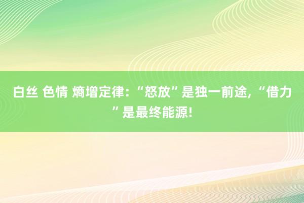 白丝 色情 熵增定律: “怒放”是独一前途， “借力”是最终能源!