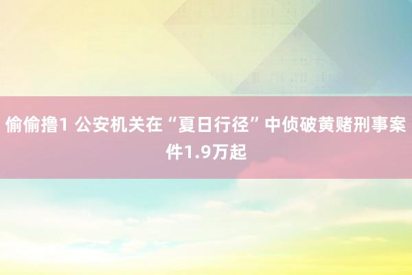 偷偷撸1 公安机关在“夏日行径”中侦破黄赌刑事案件1.9万起