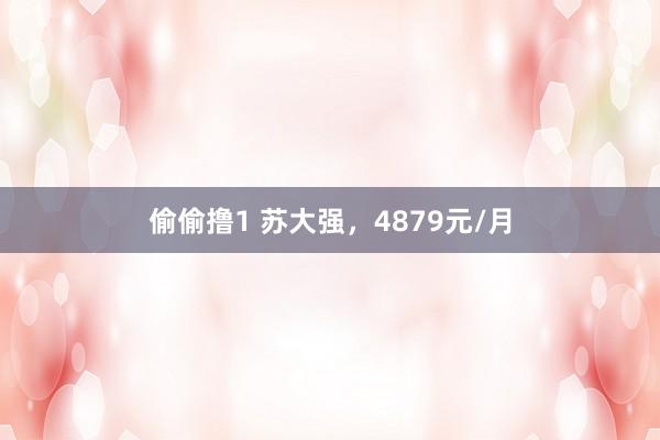 偷偷撸1 苏大强，4879元/月