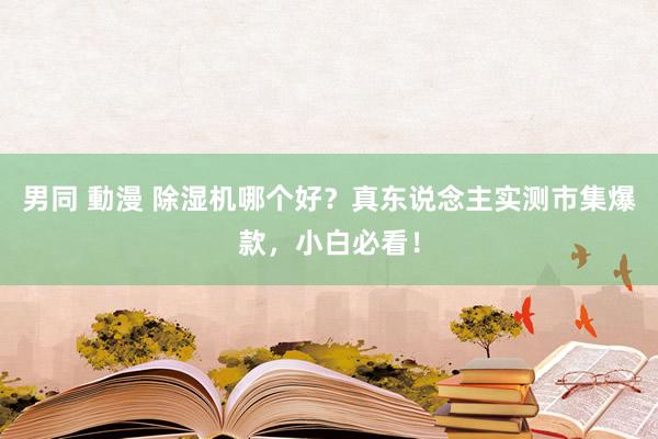 男同 動漫 除湿机哪个好？真东说念主实测市集爆款，小白必看！