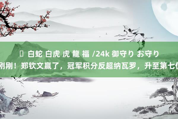 ✨白蛇 白虎 虎 龍 福 /24k 御守り お守り 刚刚！郑钦文赢了，冠军积分反超纳瓦罗，升至第七位