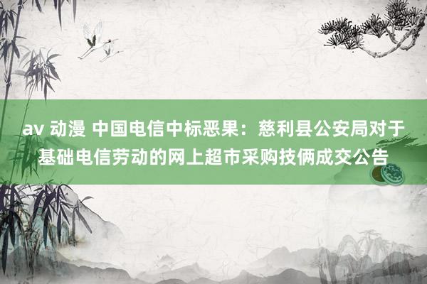 av 动漫 中国电信中标恶果：慈利县公安局对于基础电信劳动的网上超市采购技俩成交公告