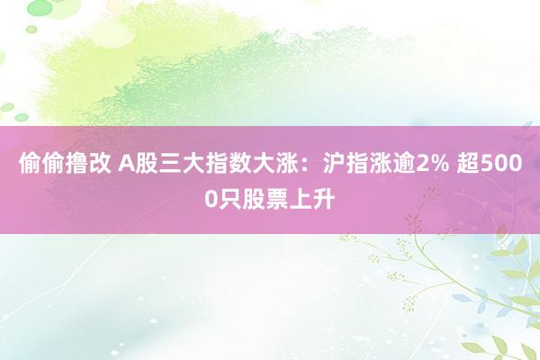 偷偷撸改 A股三大指数大涨：沪指涨逾2% 超5000只股票上升