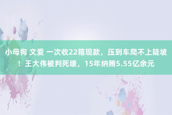 小母狗 文爱 一次收22箱现款，压到车爬不上陡坡！王大伟被判死缓，15年纳贿5.55亿余元