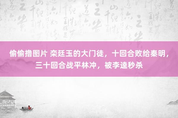 偷偷撸图片 栾廷玉的大门徒，十回合败给秦明，三十回合战平林冲，被李逵秒杀