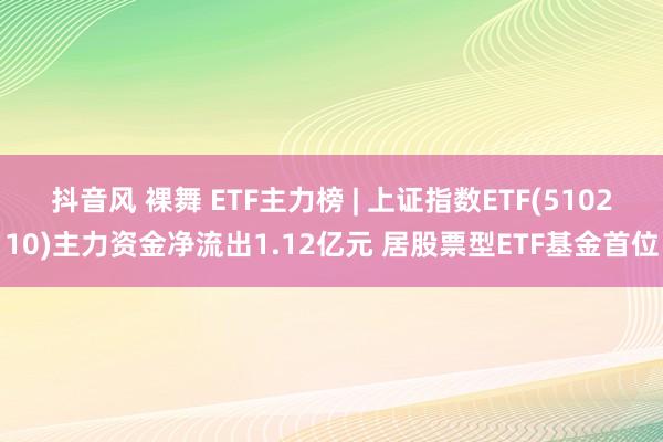 抖音风 裸舞 ETF主力榜 | 上证指数ETF(510210)主力资金净流出1.12亿元 居股票型ETF基金首位