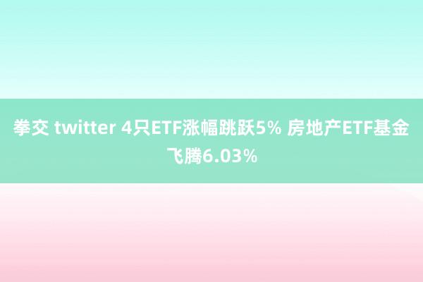 拳交 twitter 4只ETF涨幅跳跃5% 房地产ETF基金飞腾6.03%