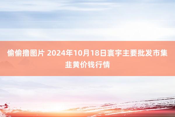 偷偷撸图片 2024年10月18日寰宇主要批发市集韭黄价钱行情