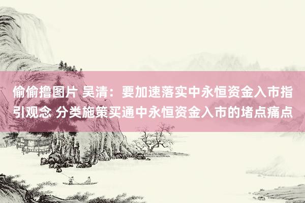 偷偷撸图片 吴清：要加速落实中永恒资金入市指引观念 分类施策买通中永恒资金入市的堵点痛点