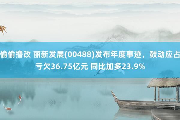 偷偷撸改 丽新发展(00488)发布年度事迹，鼓动应占亏欠36.75亿元 同比加多23.9%