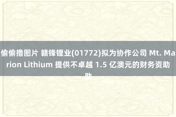 偷偷撸图片 赣锋锂业(01772)拟为协作公司 Mt. Marion Lithium 提供不卓越 1.5 亿澳元的财务资助