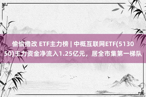 偷偷撸改 ETF主力榜 | 中概互联网ETF(513050)主力资金净流入1.25亿元，居全市集第一梯队