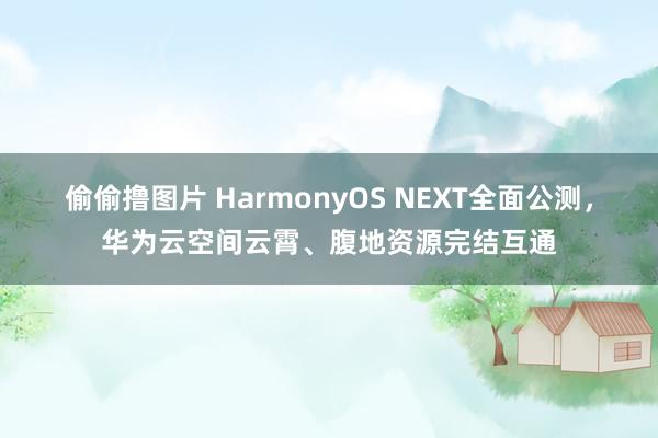 偷偷撸图片 HarmonyOS NEXT全面公测，华为云空间云霄、腹地资源完结互通