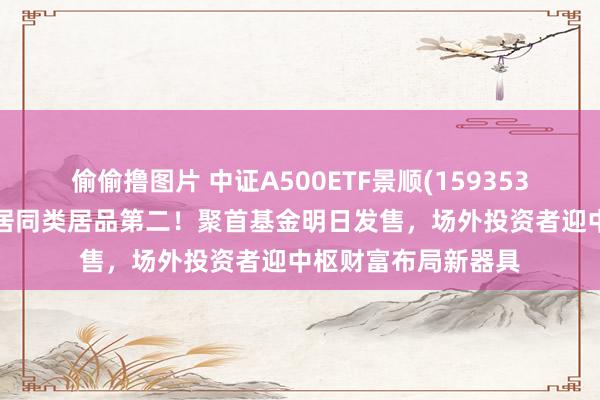 偷偷撸图片 中证A500ETF景顺(159353)成交额超8亿元，居同类居品第二！聚首基金明日发售，场外投资者迎中枢财富布局新器具