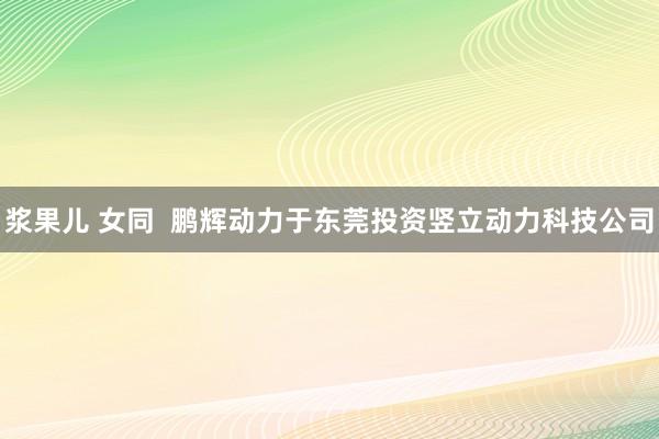 浆果儿 女同  鹏辉动力于东莞投资竖立动力科技公司