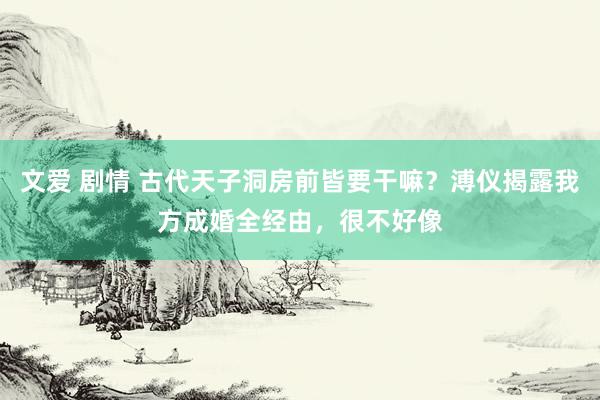 文爱 剧情 古代天子洞房前皆要干嘛？溥仪揭露我方成婚全经由，很不好像