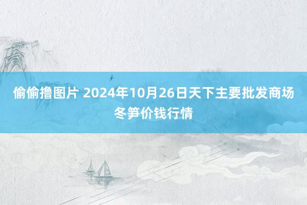 偷偷撸图片 2024年10月26日天下主要批发商场冬笋价钱行情