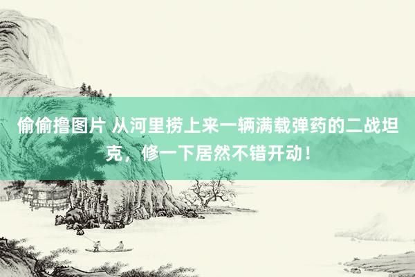 偷偷撸图片 从河里捞上来一辆满载弹药的二战坦克，修一下居然不错开动！