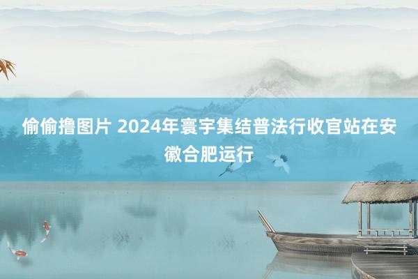 偷偷撸图片 2024年寰宇集结普法行收官站在安徽合肥运行